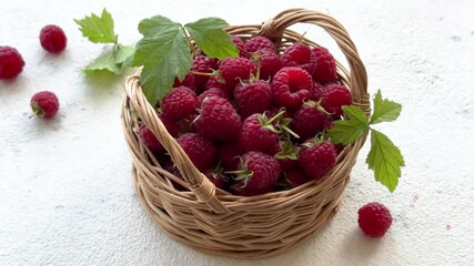 Wall Mural - Fresh organic ripe raspberry