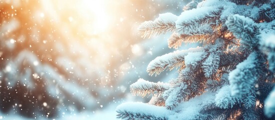 Poster - Snow covered frosty fir branches Winter background with snow Natural light landscape of the forest Falling snow A stunning tall tree beneath a bright sky A magical frosty scene in an outdoor park Su