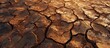© vxnaghiyev - Cracked dry earth on the surface of arid soil viewed from above The background shows environmental indications of climate change and global warming. with copy space image