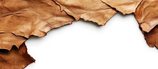 Leinwandbilder - Two pieces of brown leather featuring a text area set against a white background. with copy space image. Place for adding text or design