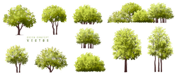 Wall Mural - vector watercolor green tree or forest side view isolated on white background for landscape and arch