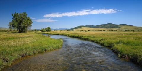 Sticker - River flowing through green meadow