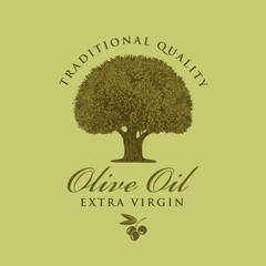 Vector banner or label for extra virgin olive oil with realistic olive tree and handwritten inscriptions on green background in retro style