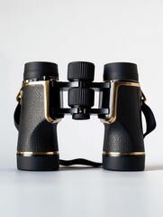 Pair of binoculars with gold accents. The binoculars are on a white background