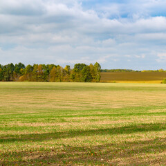 Wall Mural - Harvested fields and meadows. rural autumn landscape.