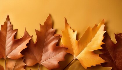 Canvas Print - Autumn leaves on a yellow background