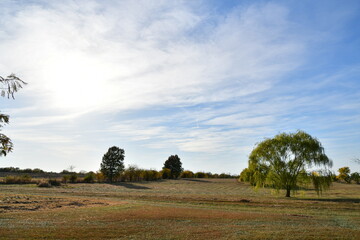 Wall Mural - Sunny Clouds Over a Rural Farm Field