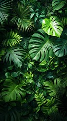  Dark green plants growing in a lush foliage background of tropical leaves like anthurium, forming a beautiful green plant wall design