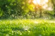 © Shipons Creative - Sprinkler spraying water on green grass with bokeh background