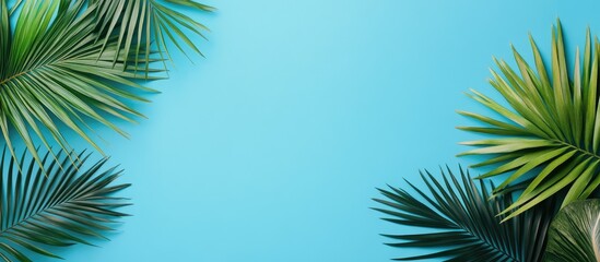 Wall Mural - Summer composition with tropical palm leaves on a pastel blue background Summer theme Flat lay top view copyspace