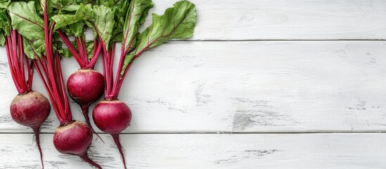 Leinwandbilder - Beetroot plants on a white wooden table. with copy space image. Place for adding text or design
