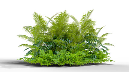 Poster - Tree and plant group PNG transparent, 3d illustration rendering
