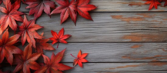 Poster - Autumn leaves of a Japanese maple tree on a wooden texture background. with copy space image. Place for adding text or design