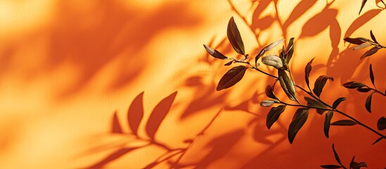 Fototapete - Trending idea using natural materials featuring plant shadows on orange Daytime presentation Naturally blurred shading Summer sunlight from herbs An abstract beautiful background for text