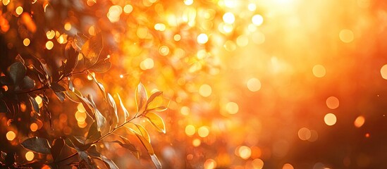 Aufkleber - Orange bokeh background from natural settings beneath tree shade. with copy space image. Place for adding text or design