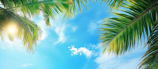 Wall Mural - Upward angle view of coconut leaves against a fresh blue sky background at the beach. with copy space image. Place for adding text or design