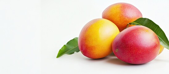 Leinwandbilder - mangos against a white background. with copy space image. Place for adding text or design