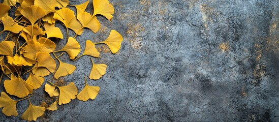 Aufkleber - Golden yellow Ginkgo Biloba leaves on a grey concrete surface with copyspace for text