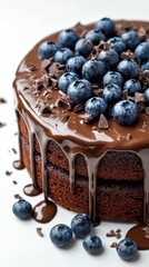 Wall Mural - Chocolate cake with blueberries and dripping ganache on a white background