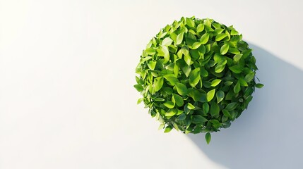 3D Render of a Green Earth Globe Made of Leaves, Symbolizing Ecology and Sustainability Against a White Background with Subtle Shadowing