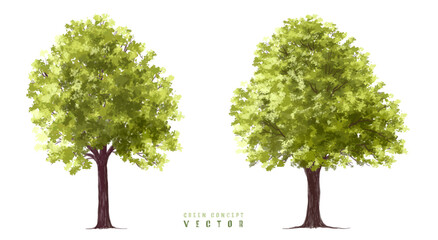 Wall Mural - vector watercolor green tree or forest side view isolated on white background for landscape and arch