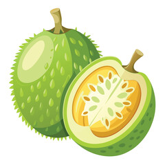 Breadfruit vector and illustration isolated on white background.