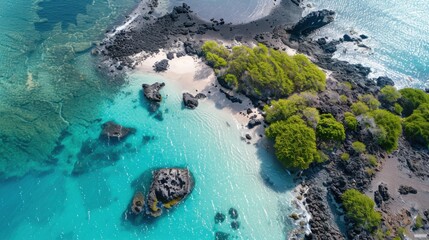 Poster - A serene view of the tranquil beaches of the Gal��pagos Islands with unique volcanic rock formations and clear blue waters, island setting with natural colors, Gal��pagos style