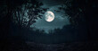 © Prasanth - full moon over dark spooky forest at night