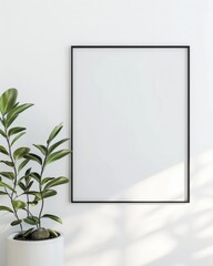 A simple white wall with a black frame and a plant in a white pot The frame is empty and there is sunlight coming through the window. casting shadows on the wall