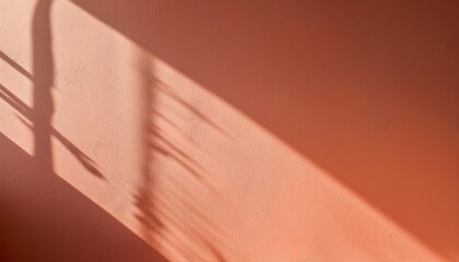 Poster - Warm Peach Textured Background with Soft Sunlit Shadows. Ideal for Elegant Minimalist Designs, Modern Aesthetic Projects, and Tranquil Social Media Visuals Needing Subtle Warmth and Depth