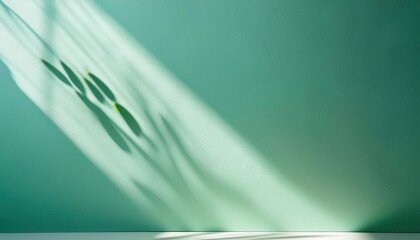 Poster - Minimalist Green Wall with Sunlit Shadows. Ideal Stock Background for Eco Friendly Campaigns, Environmental Awareness Designs, or Wellness Themed Content with Natural Light Aesthetics