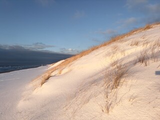 The image depicts a serene snow-covered landscape with a gently sloping hill and sparse vegetation peeking through the snow. 