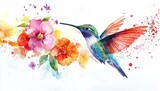 Watercolor hummingbird with flowers, colorful, white background, tattoo...