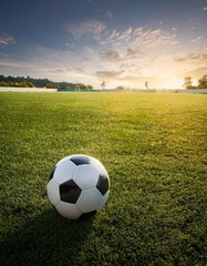 soccer ball on grass