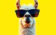 © jamal - trendy llama in sunglasses over yellow background.