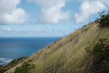 view from the beach