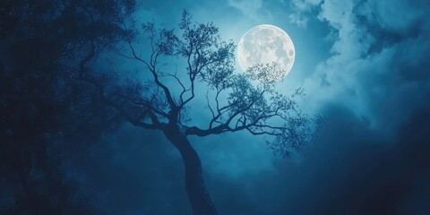Wall Mural - mysterious forest at night with full moon