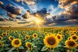 © Phetthanousack - Vast field of sunflowers evoking peace and relaxation