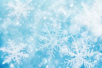 Wall Mural - close-up of intricate snowflakes against a vibrant blue background showcasing their delicate pattern