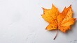 © sonderstock - Single orange maple leaf placed on the gray concrete surface ground.