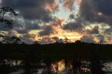 praia do forte - bahia