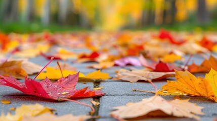 Wall Mural - Vibrant autum leaves in shades of red, yellow, and orange create a warm and inviting park scene on a sunny day.