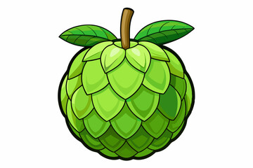 Sugar apple fruit vector art illustration