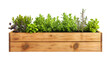 ©  Jannatul Koraise - Green Plants in a Rustic Wooden Planter box isolated on transparent background. PNG file, cut out