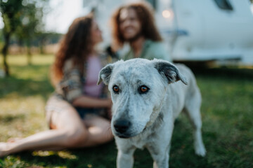 Young couple and dog are on a camping trip in nature, sitting in front of caravan. Caravan traveling for young people.