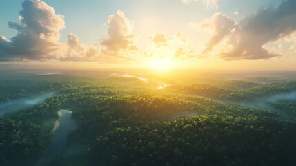 Wall Mural - beautiful green amazon forest landscape at sunset sunrise. adventure explore air dron view vibe. gra
