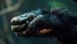 © Paulius - The Intricate Beauty of a Monkey's Hand: A Captivating Close-Up