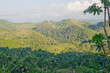 © robertharding - Sierra del Rosario Biosphere Reserve, Artemisa Province, Cuba, West Indies, Caribbean, Central America