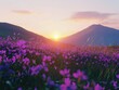 © Goncharenko - Purple Field with Mountain Background