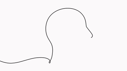 Wall Mural - male face continuous line drawing animation. man head linear empty frame animated video.